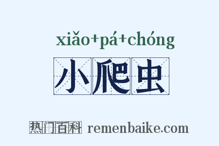 小爬虫是什么意思的图片